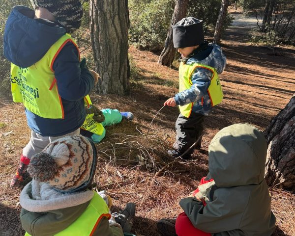 PHOTO-2025-01-07-12-51-25