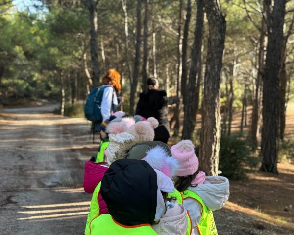 PHOTO-2025-01-07-12-52-05 2